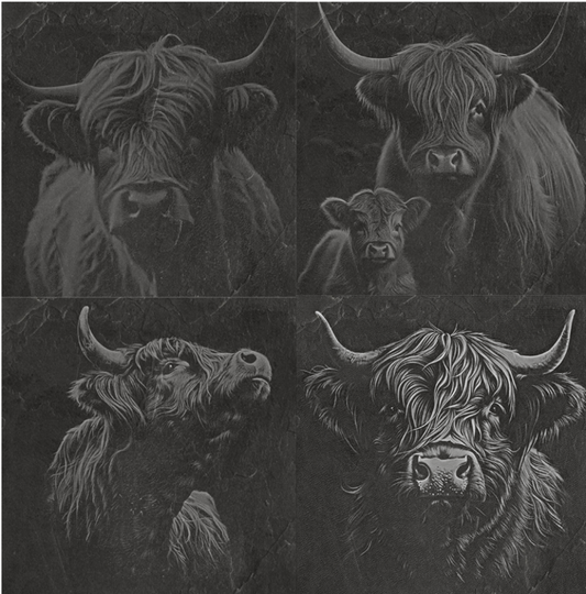 Highland Cow Pack (set of 4)