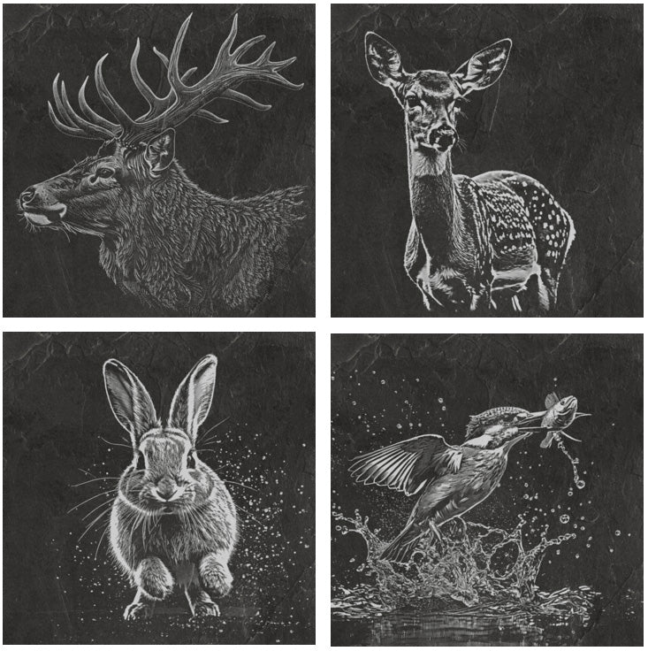 Native Wildlife Pack (set of 4)